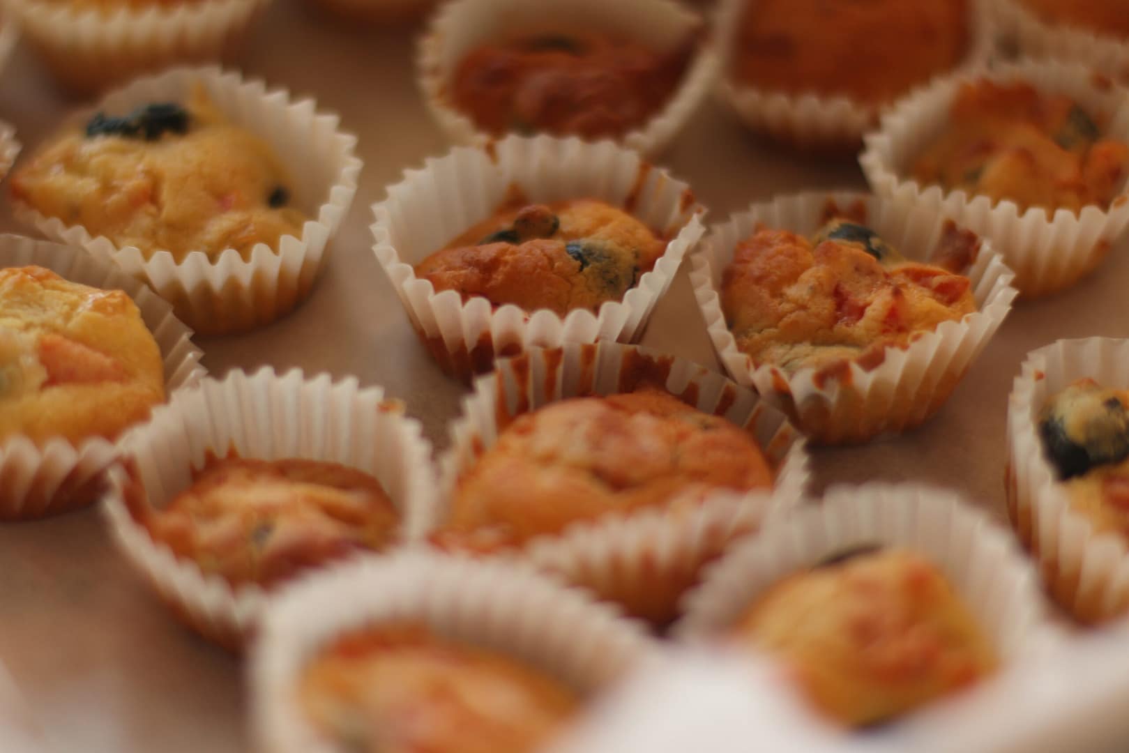 Copia di IMG_9371 (1)